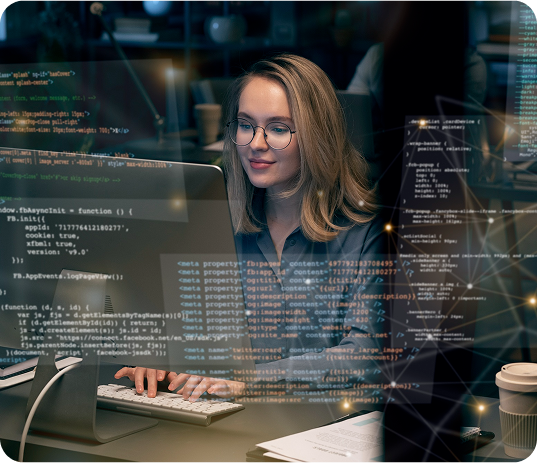 Custom_software_development_services