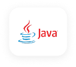 Java technology for custom software development services