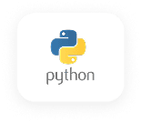 Python technology for custom software development services