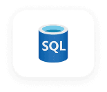 SQL database technology for custom software development services