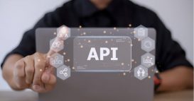 API Management Services